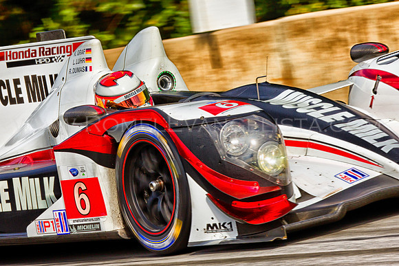 Muscle Milk Pickett Racing | 2013 Petit Le Mans